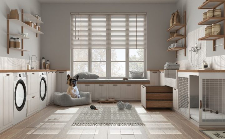 Image of customized laundry/dog room.